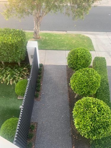 garden established