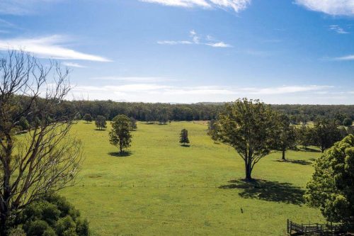 The-Country-Homestead-Crescent-Head-6.jpeg