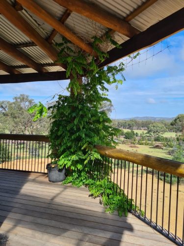 The-Log-House-Marulan-53.jpg