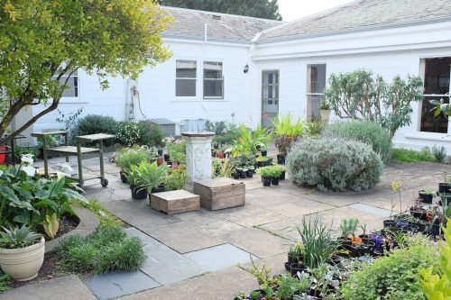 The-Terrace-garden-The-Terrace.jpeg