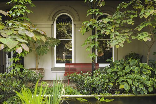garden
