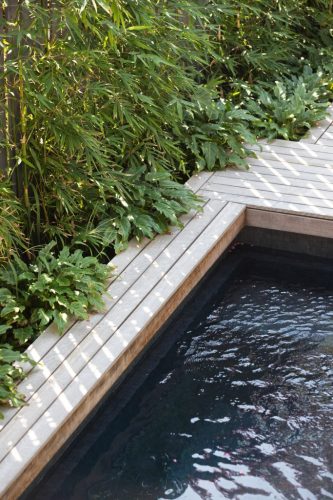 backyard pool