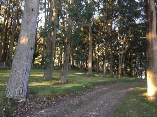 Springwood, Gordon