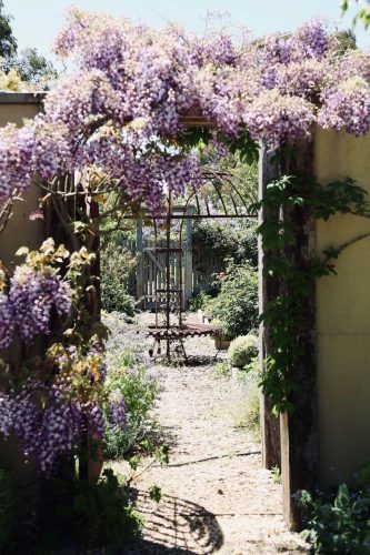 Valerie-Estate-Spring-Hill-6.jpeg