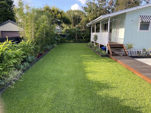 backyard
