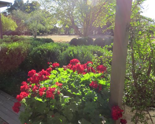 Driftwood Farm, Kyneton