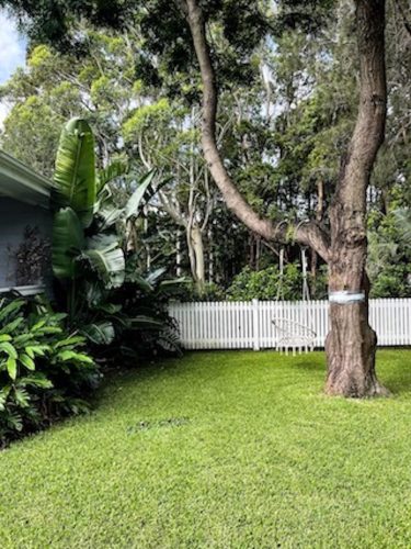 Verdure-Cottage-Thirroul-Garden_2279.jpeg