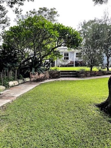 Verdure-Cottage-Thirroul-Garden_2280.jpeg