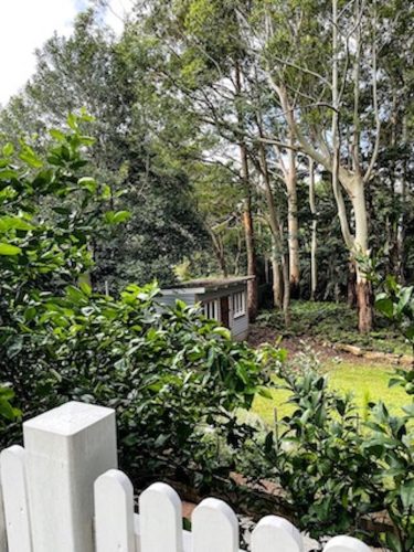 Verdure-Cottage-Thirroul-Garden_2281.jpeg