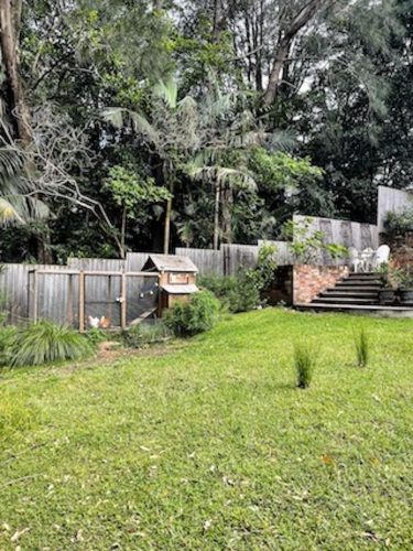 Verdure-Cottage-Thirroul-Garden_2288.jpeg
