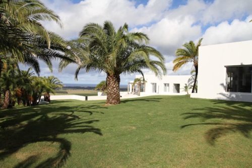Villa-Palmas-18.jpeg