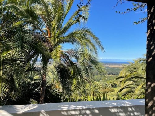 Villa-Palmas-Byron-Bay-Outdoor-View.jpeg