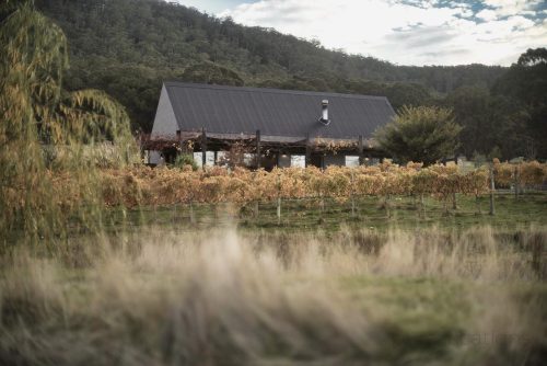 Welcome-Home-Raglan_5.jpeg