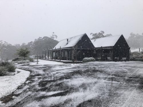 Welcome-Home_Raglan-Snow.jpeg
