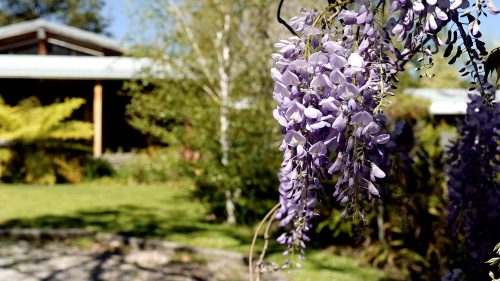 Wild-About-Flora-Ribboning-1.jpg