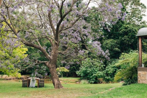 garden established