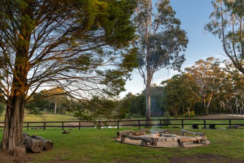 outdoor area