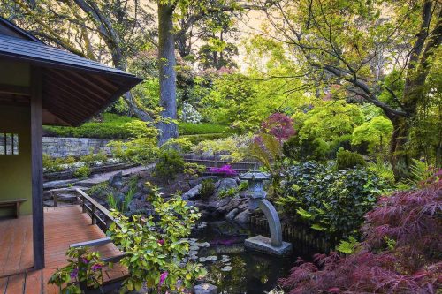garden established