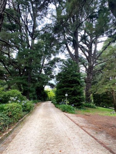 driveway