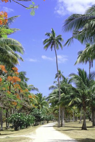 fiji-2-1.jpg