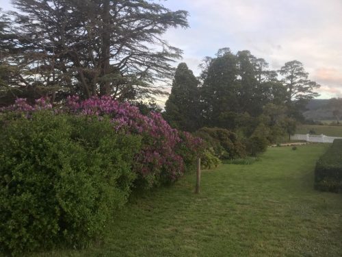 garden