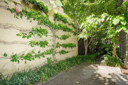 moonee-ponds-028-2_49647347768_o.jpg