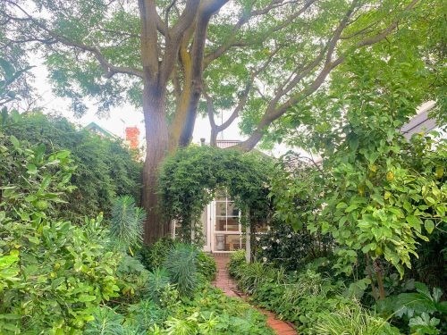 garden established