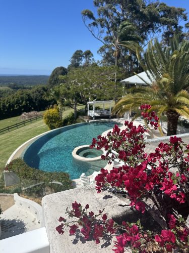 THE VIEW - POOL FROM ABOVE WITH FLOWERS