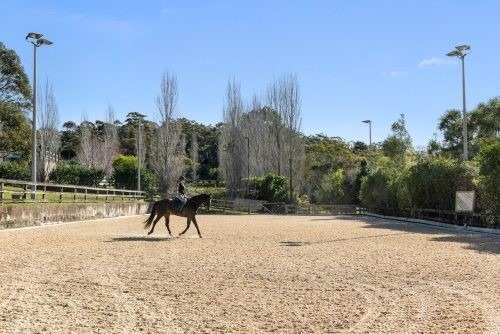 The Premises, Terrey Hills 67