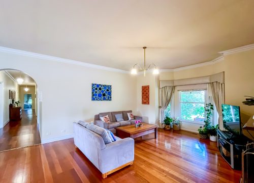Alfie, Warrandyte 37