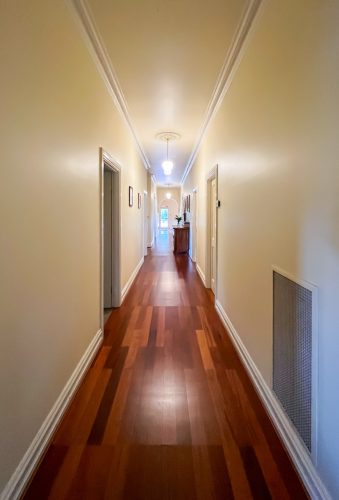 Alfie, Warrandyte 42