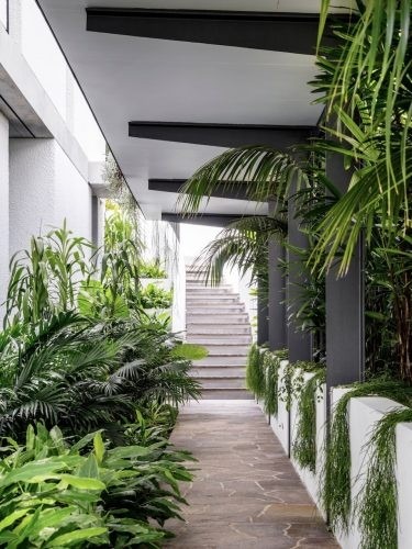 Architect's Dream, Vaucluse400