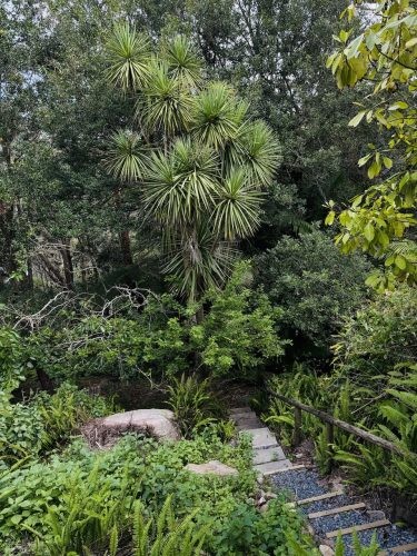 Bel Air, Castle Cove35