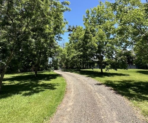 driveway