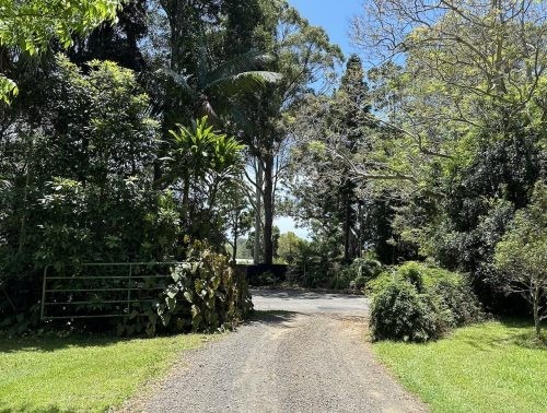 Dreamweaver, Bangalow 105