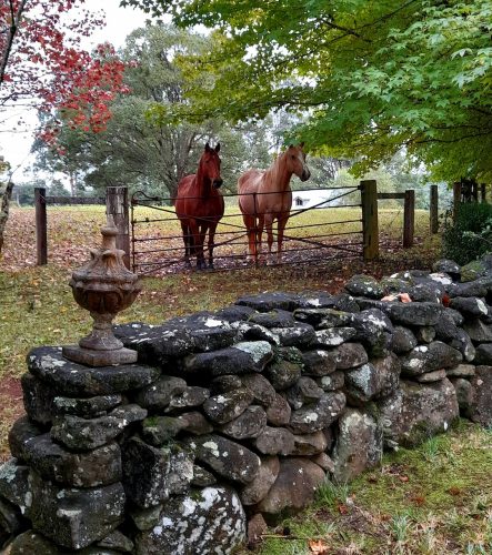Les Beaux, Bangalow 49