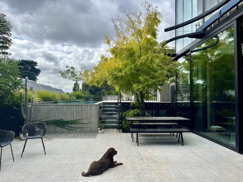 backyard
