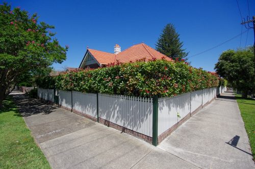 Lyle Cottage, Haberfield 11