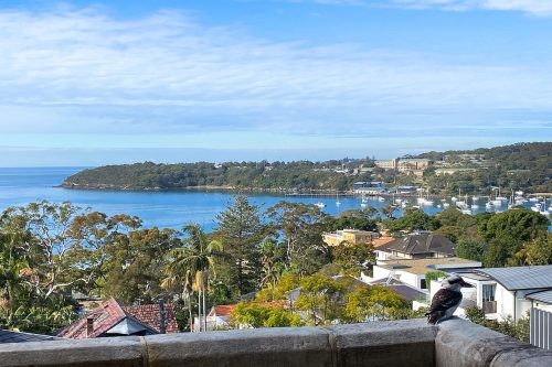 Flores, Mosman 17