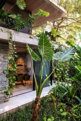 2025 Images_Modern Jungle, Clareville 10