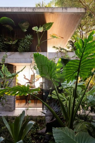2025 Images_Modern Jungle, Clareville 17