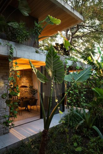 2025 Images_Modern Jungle, Clareville 32
