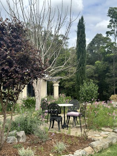Pastis, Alstonville