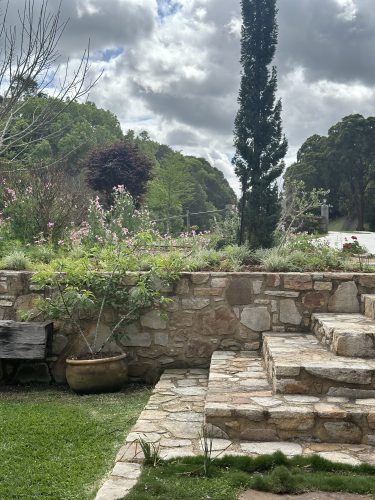 Pastis, Alstonville