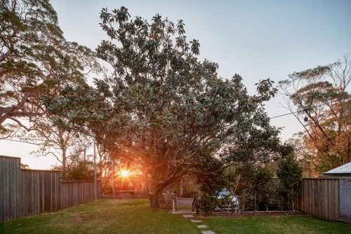 Chestnut Place, Bilgola Plateau 20