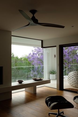 Disillusion, Whale Beach 25