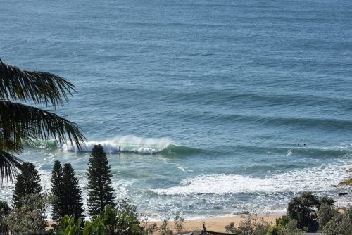 Disillusion, Whale Beach 8