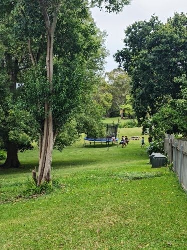 backyard