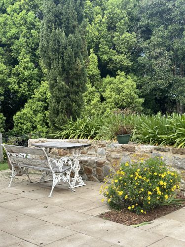 Pastis, Alstonville