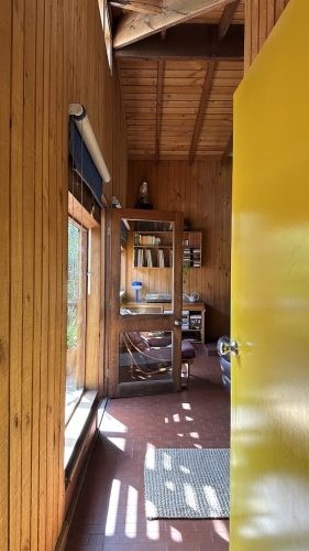 Lava Lamp, Kew 49